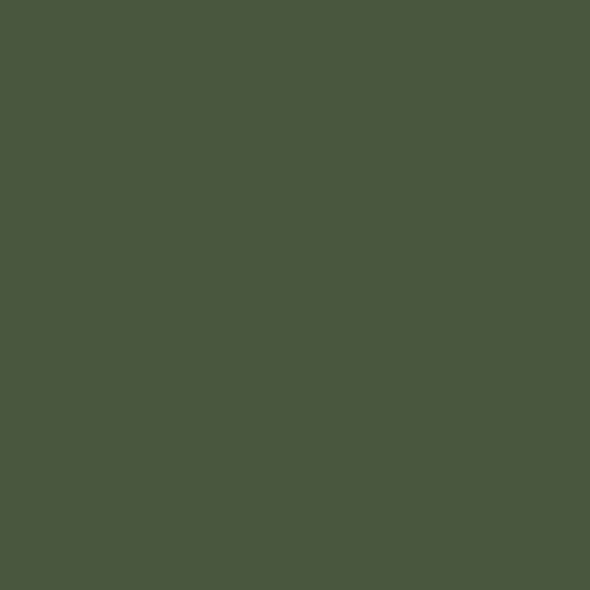 Pigment Corrective Khaki