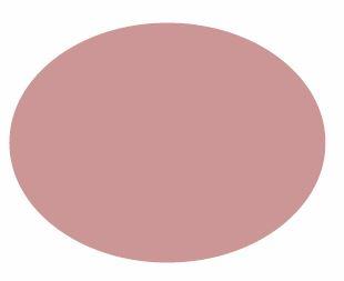 Pigments Areola Medical Colour Blush