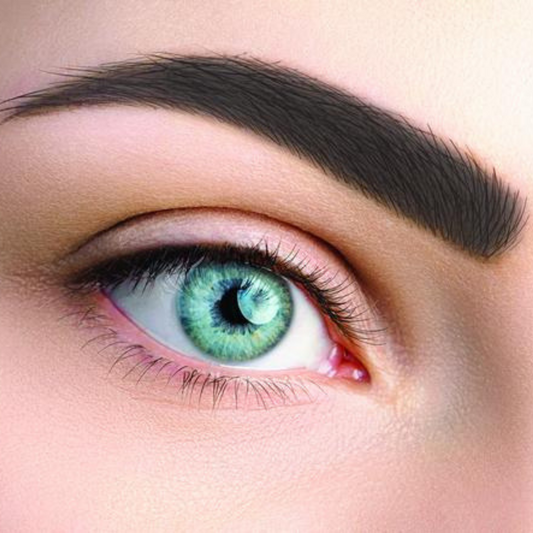 Pigments True Brows - Truly Intense 10ml